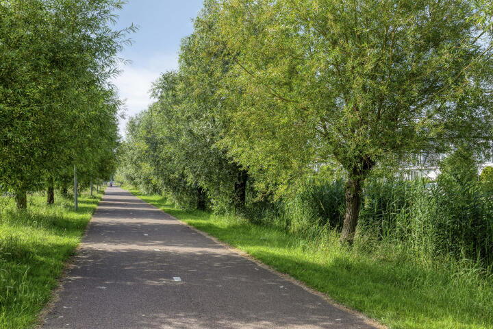 Photo 51 – Zandberglaan 25, Den Haag