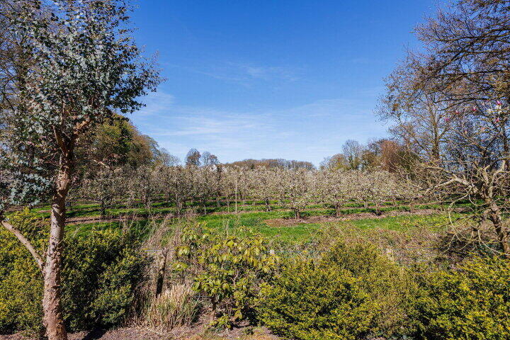Foto 63 - Zandpad 27, Cothen