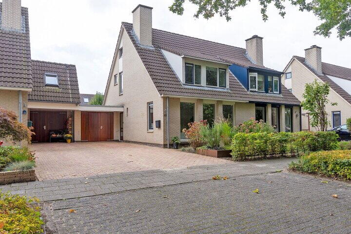 Zilverschoon 43
