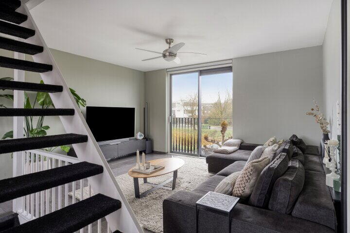 Foto 3 - Zwarte Specht 66, Zeewolde