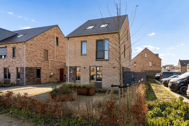 Foto 2 - Zwenkgras 2, Lelystad