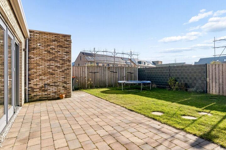 Foto 50 - Zwenkgras 2, Lelystad