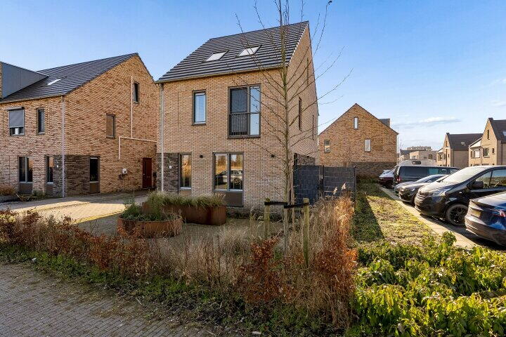 Foto 58 - Zwenkgras 2, Lelystad