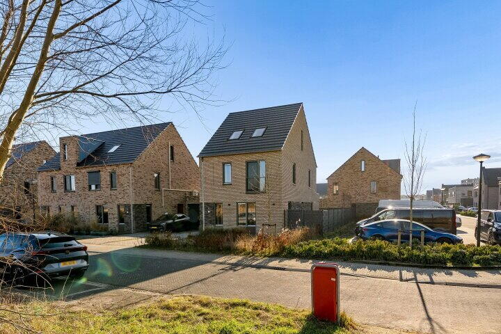 Foto 60 - Zwenkgras 2, Lelystad