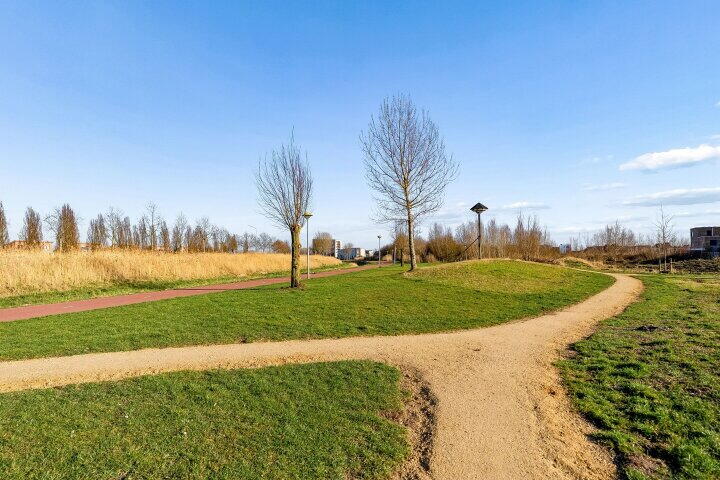 Foto 63 - Zwenkgras 2, Lelystad