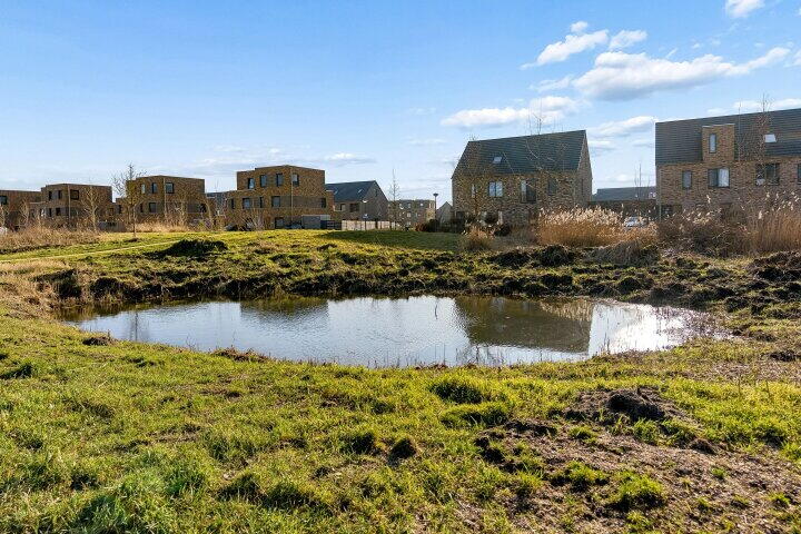 Foto 64 - Zwenkgras 2, Lelystad